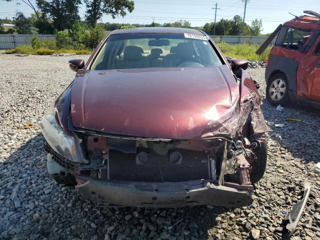 1HGCP2F83BA075937 - 2011 HONDA ACCORD EXL BURGUNDY photo 5