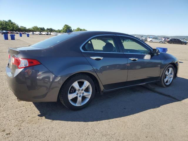 JH4CU2F67AC002397 - 2010 ACURA TSX GRAY photo 3
