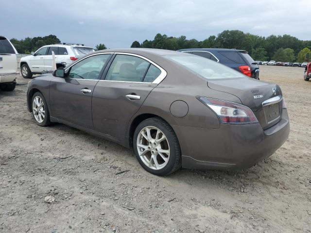1N4AA5AP2EC476384 - 2014 NISSAN MAXIMA S TAN photo 2