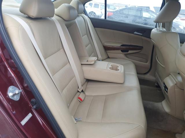 1HGCP2F86AA059083 - 2010 HONDA ACCORD EXL BURGUNDY photo 10