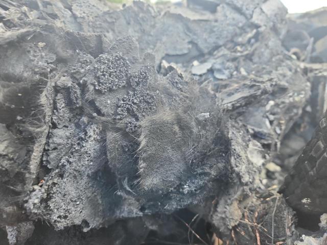 1C4RJFAG5CC274199 - 2012 JEEP GRAND CHEROKEE LAREDO ნაცრისფერი ფოტო 9