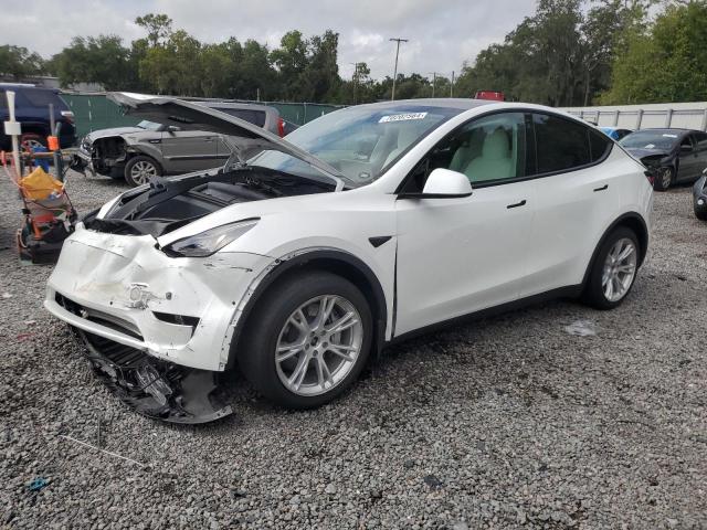 5YJYGAEE4MF250857 - 2021 TESLA MODEL Y WHITE photo 1