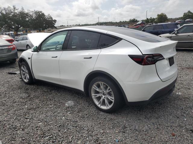 5YJYGAEE4MF250857 - 2021 TESLA MODEL Y WHITE photo 2