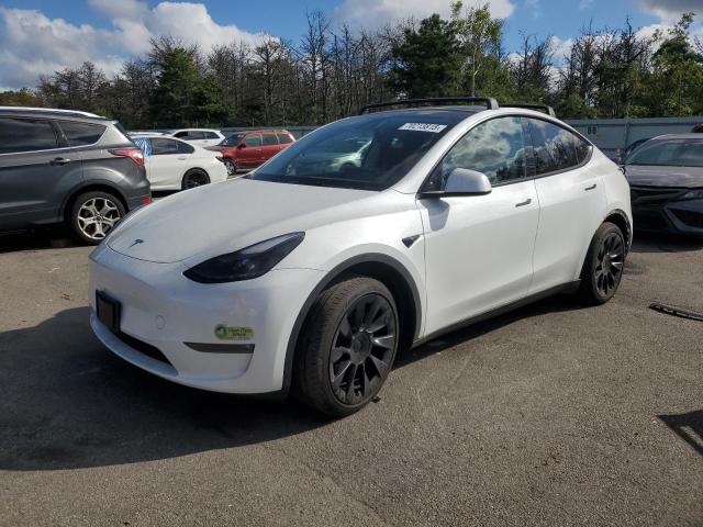 2023 TESLA MODEL Y, 
