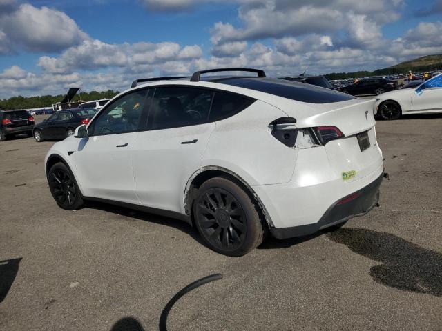 7SAYGAEE7PF752625 - 2023 TESLA MODEL Y 白色 照片 2