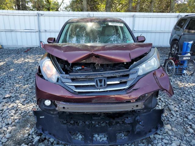 5J6RM4H52EL003436 - 2014 HONDA CR-V EX Bordo foto 5