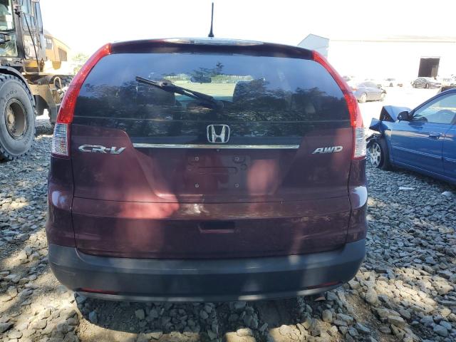 5J6RM4H52EL003436 - 2014 HONDA CR-V EX Bordo foto 6