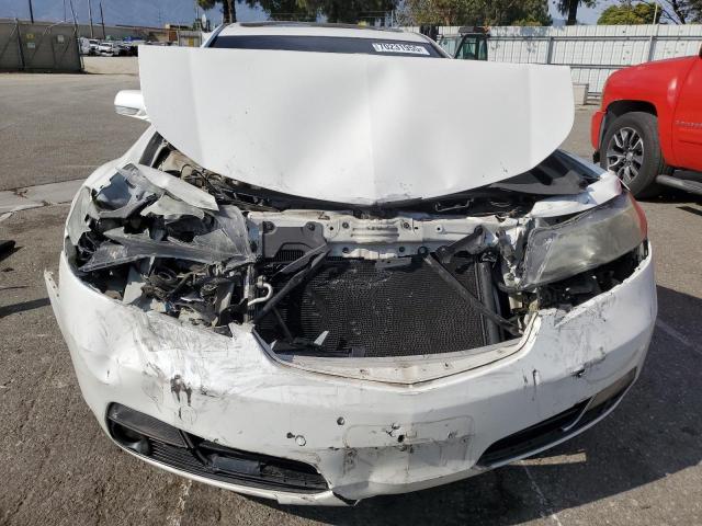 19UUA8F59DA010558 - 2013 ACURA TL TECH WHITE photo 11