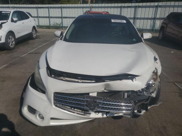 1N4AA5AP7BC824692 - 2011 NISSAN MAXIMA S WHITE photo 5