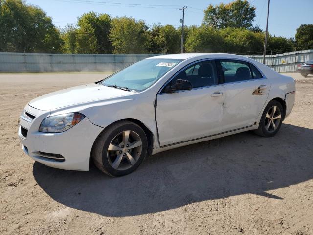 1G1ZC5E11BF345690 - 2011 CHEVROLET MALIBU 1LT WHITE photo 1