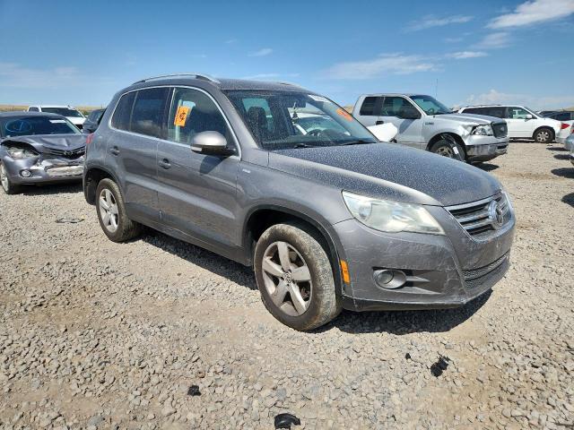 WVGAV7AX8AW533430 - 2010 VOLKSWAGEN TIGUAN S GRAY photo 4