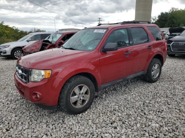 2011 FORD ESCAPE XLT, 