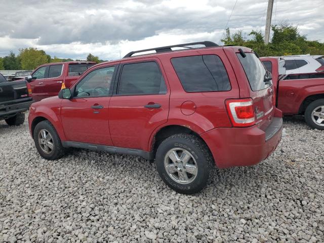 1FMCU0D78BKB86589 - 2011 FORD ESCAPE XLT Қызыл фото 2