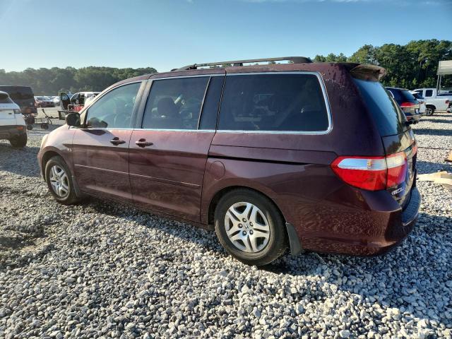 5FNRL38477B095000 - 2007 HONDA ODYSSEY EX BURGUNDY photo 2