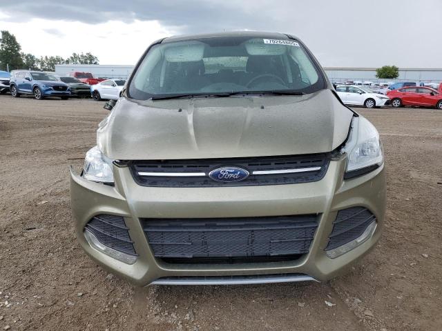 1FMCU0GX4DUD35874 - 2013 FORD ESCAPE SE GREEN photo 5
