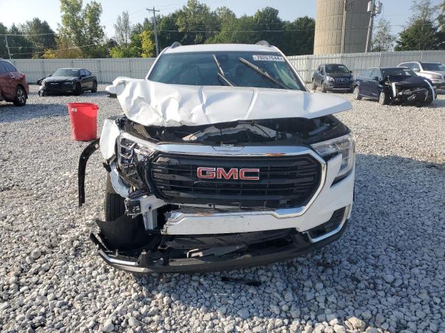 3GKALTEGXPL269756 - 2023 GMC TERRAIN SLE WHITE photo 5