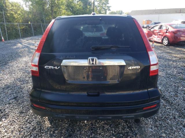 5J6RE4H75AL028114 - 2010 HONDA CR-V EXL Czarny zdjęcie 6
