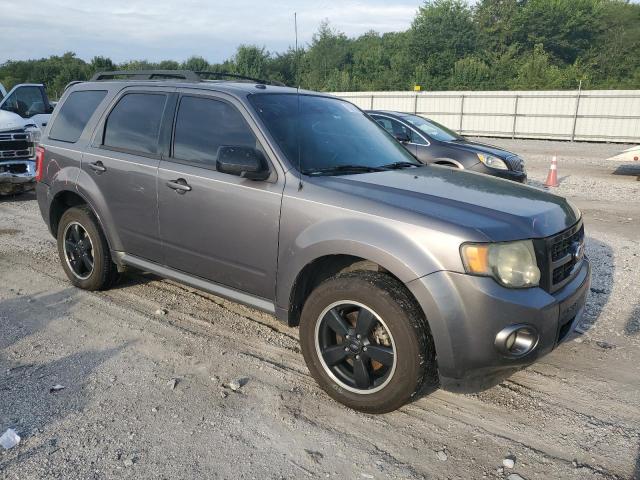 1FMCU0DG5BKA04346 - 2011 FORD ESCAPE XLT GRAY photo 4