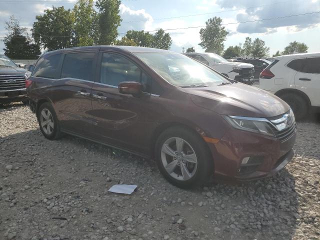 5FNRL6H59KB033178 - 2019 HONDA ODYSSEY EX მუქწითელი ფოტო 4