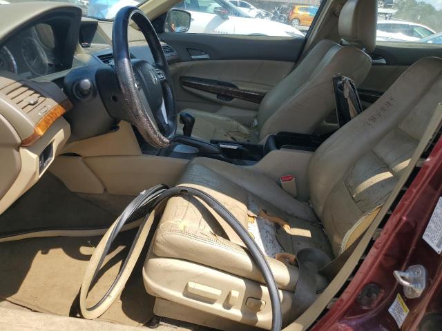 1HGCP26829A131117 - 2009 HONDA ACCORD EXL BURGUNDY photo 7