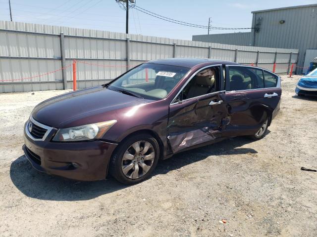 2010 HONDA ACCORD EXL, 