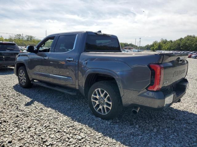 5TFMA5DB2PX060354 - 2023 TOYOTA TUNDRA CREWMAX PLATINUM Boz foto 2