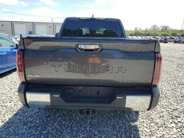 5TFMA5DB2PX060354 - 2023 TOYOTA TUNDRA CREWMAX PLATINUM Boz foto 6