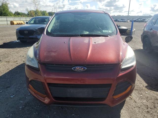 1FMCU0F78EUA01995 - 2014 FORD ESCAPE S წითელი ფოტო 5
