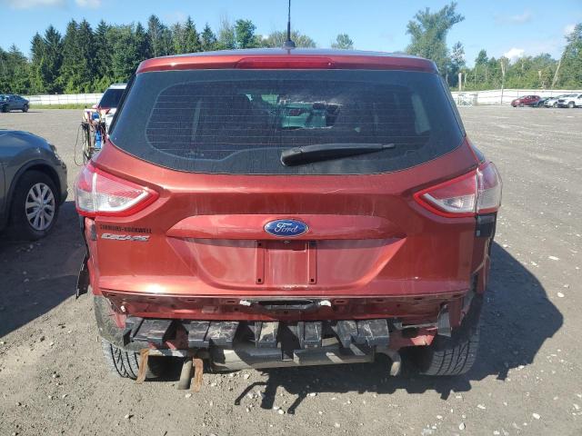 1FMCU0F78EUA01995 - 2014 FORD ESCAPE S წითელი ფოტო 6
