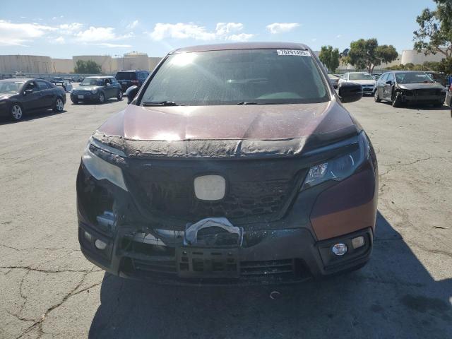 5FNYF8H53KB008176 - 2019 HONDA PASSPORT EXL برغندي صورة 5