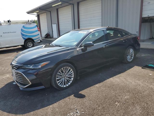 2019 TOYOTA AVALON XLE, 