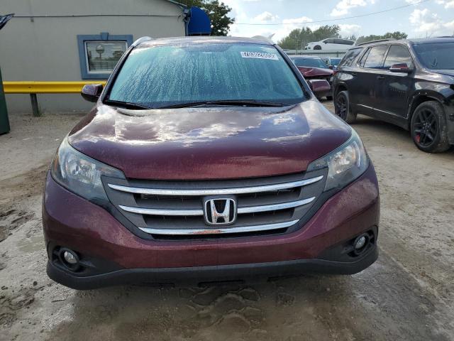 5J6RM4H79EL035480 - 2014 HONDA CR-V EXL 栗色 照片 5