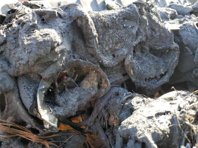 2C4RC1BG8ER409472 - 2014 CHRYSLER TOWN & COU TOURING 米色 照片 9