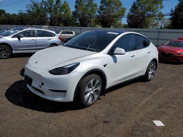2023 TESLA MODEL Y, 
