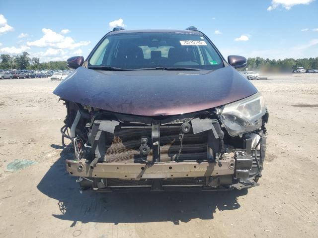 2T3RFREV6HW666527 - 2017 TOYOTA RAV4 XLE Bordo foto 5