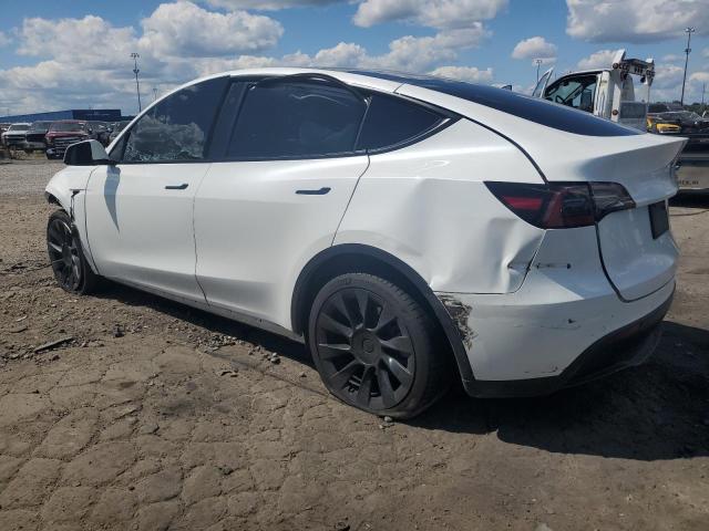 5YJYGDEE8MF190535 - 2021 TESLA MODEL Y WHITE photo 2