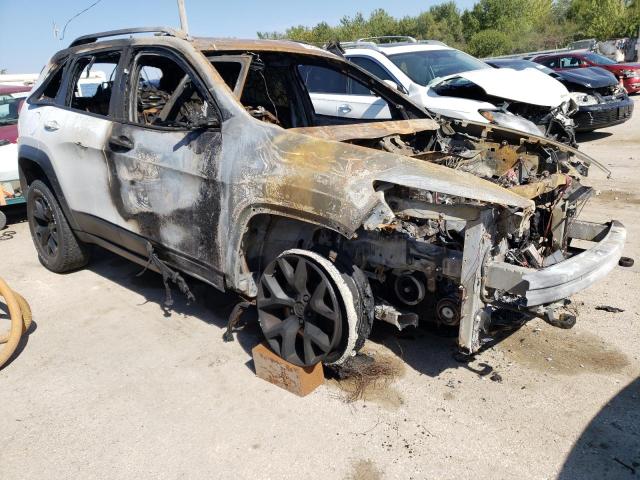 1C4PJMBB3HW633893 - 2017 JEEP CHEROKEE TRAILHAWK Ağ foto 4