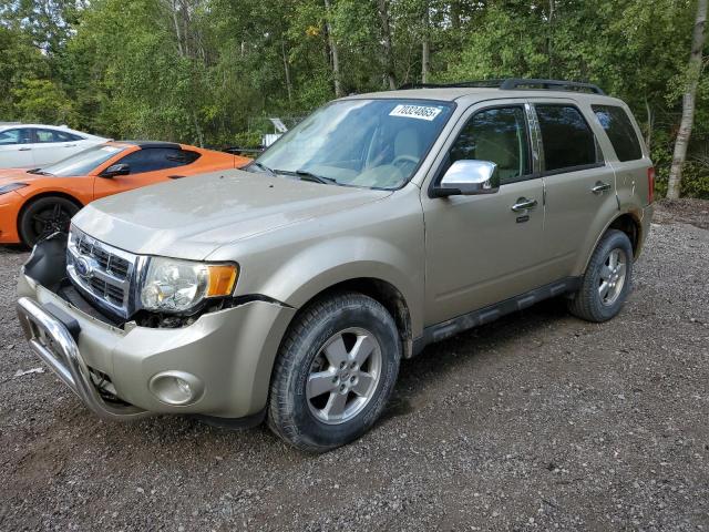 2011 FORD ESCAPE XLT, 