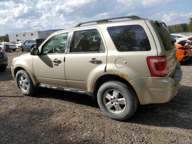 1FMCU0D74BKC45072 - 2011 FORD ESCAPE XLT TAN photo 2