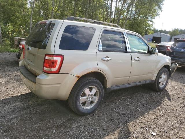 1FMCU0D74BKC45072 - 2011 FORD ESCAPE XLT TAN photo 3