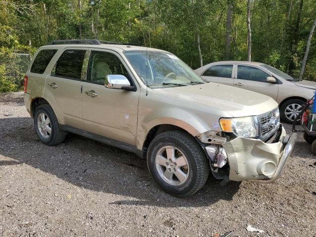 1FMCU0D74BKC45072 - 2011 FORD ESCAPE XLT TAN photo 4