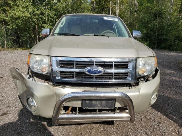 1FMCU0D74BKC45072 - 2011 FORD ESCAPE XLT TAN photo 5