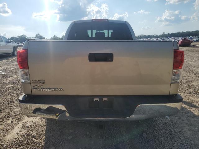 5TFRY5F19AX089606 - 2010 TOYOTA TUNDRA DOUBLE CAB SR5 TAN photo 6