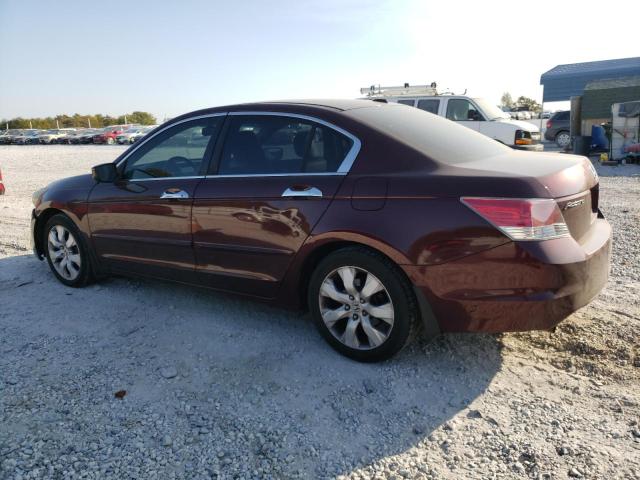 1HGCP36858A022770 - 2008 HONDA ACCORD EXL BURGUNDY photo 2