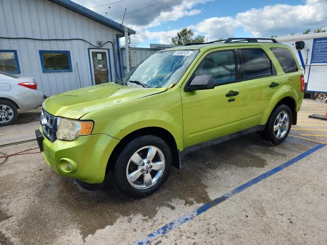 2012 FORD ESCAPE XLT, 
