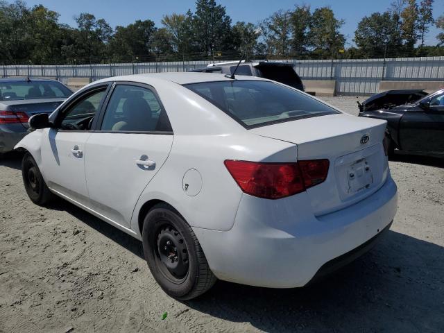 KNAFU4A20C5512495 - 2012 KIA FORTE EX WHITE photo 2