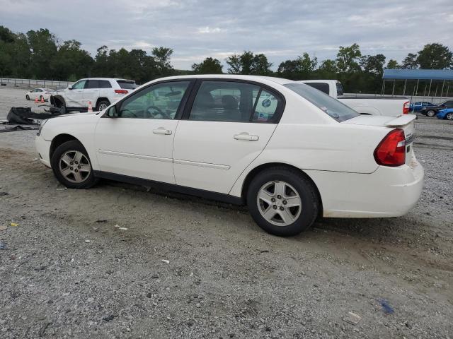 1G1ZT52855F304310 - 2005 CHEVROLET MALIBU LS WHITE photo 2