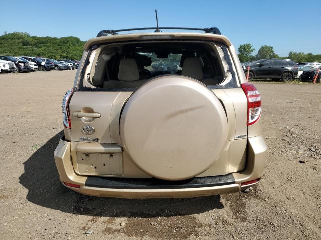 2T3BF4DV1CW263800 - 2012 TOYOTA RAV4 TAN photo 6