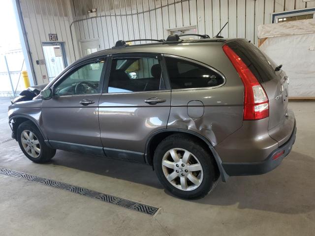 5J6RE48709L025150 - 2009 HONDA CR-V EXL BROWN photo 2