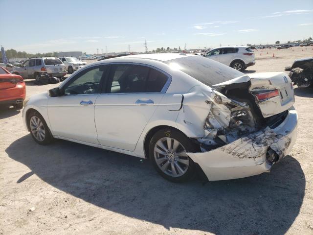 5KBCP3F80BB004501 - 2011 HONDA ACCORD EXL WHITE photo 2